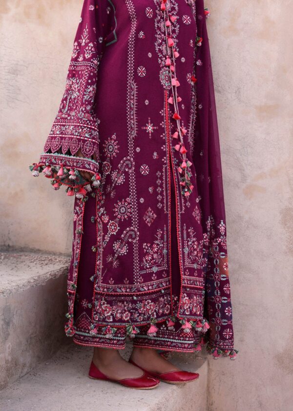 Nargis - Image 2