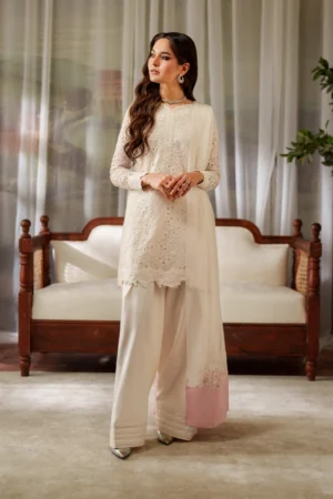 Embroidered Chiffon