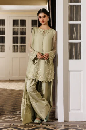 CC-101 Embroidered Chiffon
