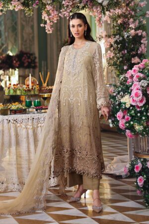 3 Piece Embroidered Chiffon Suit