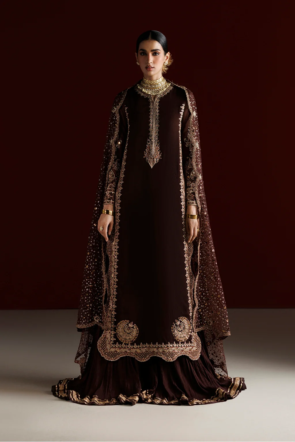 CC-113 Embroidered Chiffon